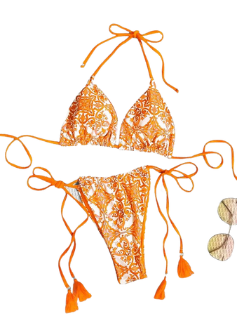 Floral Print Tassel Decor Halter Triangle Bikini Swimsuit | SHEIN USA