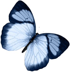 butterfly blue png filler mood aesthetic