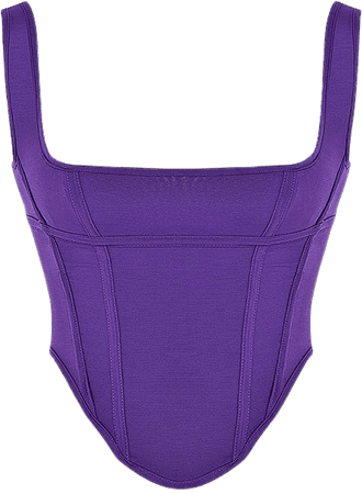 Clothing : Tops : 'Edetta' Purple Mesh Corset