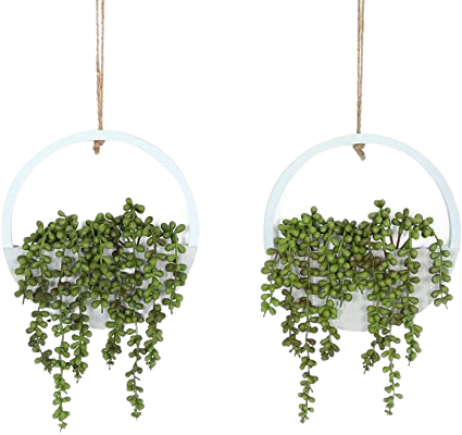 Amazon.com: Hobyhoon Artificial Hanging Plants Hanging Planter Fake Succulents Artificial String of Pearls with Pot and Lanyard for Home Office Wall Decoration : Home & Kitchen