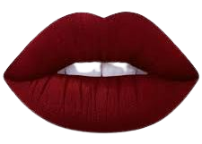 matte burgundy lip makeup - Google Search