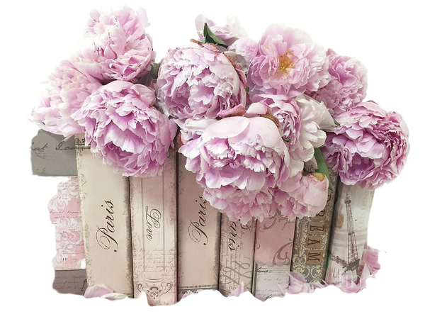 pink-peonies-paris-books-romantic-shabby-chic-wall-art-home-decor-kathy-fornal.jpg (900×675)