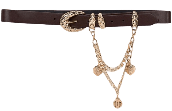 Brown Belt-Chain