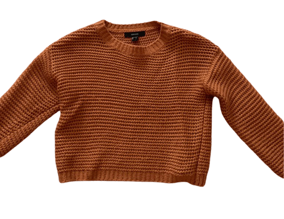 burnt orange cropped sweater