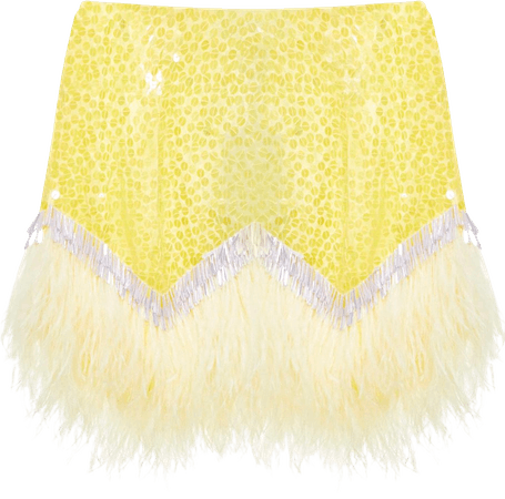 The Attico Skirt
