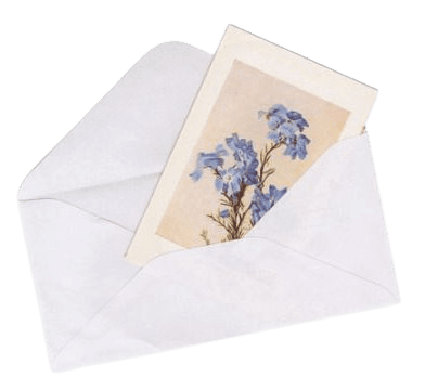 letter w flower polaroid