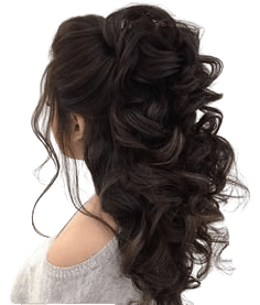 fancy hairstyles for dark hair - Google Search
