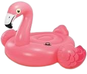 pool floats - Google Search