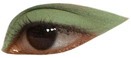 green brown eye png filler