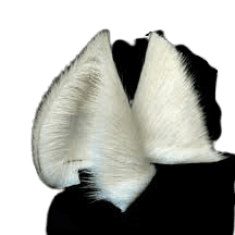 White wolf ears and tail - Google Search