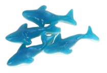Blue Gummy Shark 5lb photo on polyvore