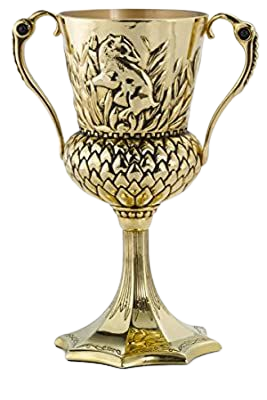 Amazon.com: Harry Potter - The Hufflepuff Cup: Toys & Games