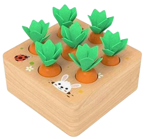 Carrot Harvest Toy