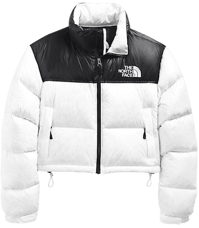 Shop The North Face Nupste Short Puffer Jacket | Saks Fifth Avenue