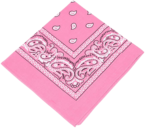 Amazon.com: BOOLAVARD 1s, 6s, 9s or 12 Pack Cowboy Bandanas with Original Paisley Pattern (Pink): Clothing