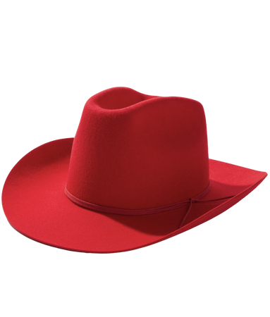 summer cowgirl hat