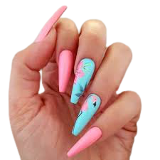 flamingo stiletto nails - Google Search