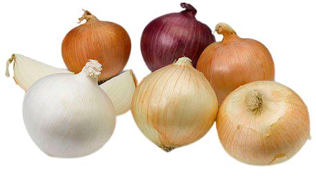 Sweet, Mild, Spicy . . . There's an Onion for Every Season - National Onion Association