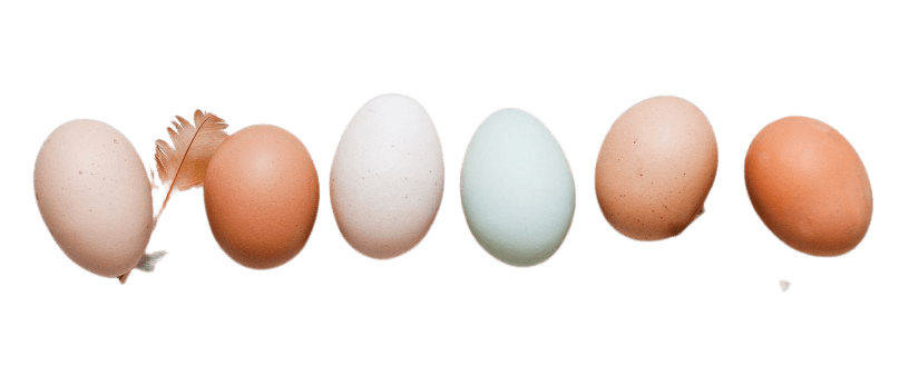 Incorporating Eggs into a Gluten-Free Diet - Gluten-Free Living