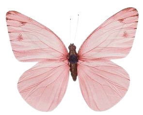 mauve butterfly png filler