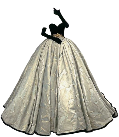 ball gown with gloves png