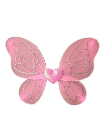Valentine's Fairy Wings