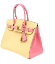 pink and yellow birkin bag - Google Search