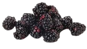 Blackberries - 12oz Package : Target