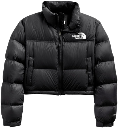 Shop The North Face Nuptse Down Cropped Puffer Jacket | Saks Fifth Avenue