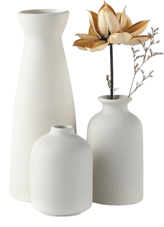 CEMABT White Ceramic vase Set-3 Small Flower vases for Decor,Modern Boho Farmhouse Home Decor,Decorative vase for Pampas Grass&Dried Flowers,idea Shelf ,Table,Bookshelf ，Entryway- Distresse : Amazon.ca: Home