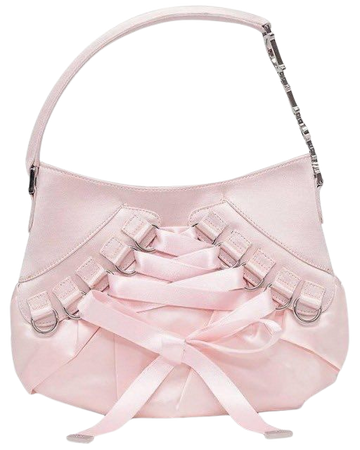pink dior corset ballet bag