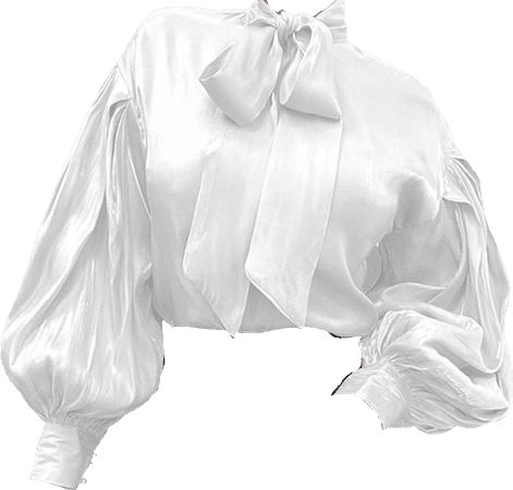 White Bishop Sleeved Blouse