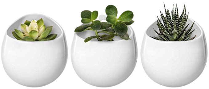 Amazon.com: Mkono 4 Inch Wall Mounted Planter Round Ceramic Hanging Plant Holder Decorative Flower Display Vase Succulent Pots for Indoor Plants, Set of 3, White (Plants NOT Included): Garden & Outdoor