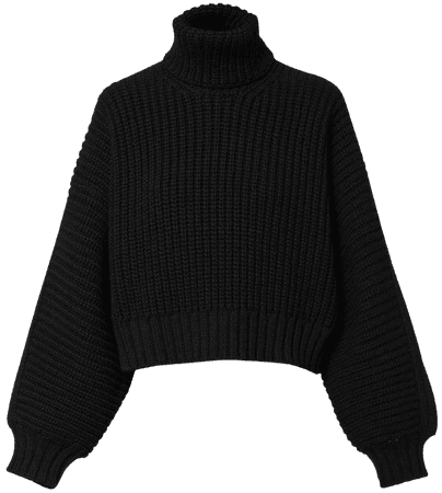 black turtleneck knit sweater