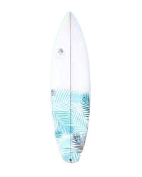 pics of surfboards - Google Search