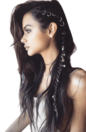 long black hair in braids - Google Search