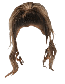Brown Hair High Ponytail