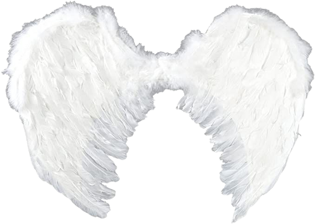 Amazon.com: Touch of Nature - Adult Angel Wings - 22" by 22" - Feather Wings - White Angel Wings - Costume Accessories: Arts, Crafts & Sewing