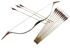real bow nd arrows - Google Search