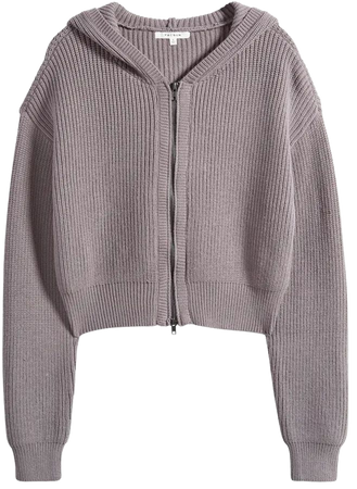 PacSun Blair Zip-Up Sweater Hoodie | Nordstrom