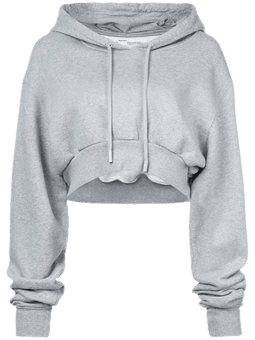 grey crop hoodie