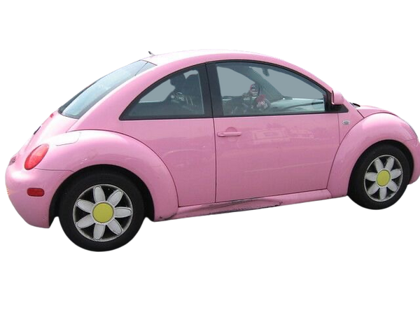 pink daisy beetle car