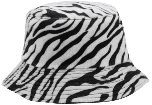 zebra hat