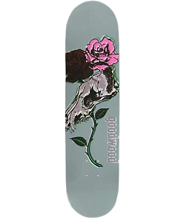 aesthetic skateboard
