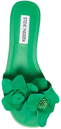 MELENA Green Suede Slide Sandal | Women's Sandals – Steve Madden