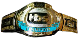 250px-AEW-TBS-Championship.png (250×127)