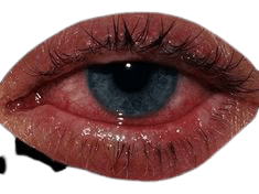 Orange green eye polyvore moodboard filler | moodboard, png, filler, minimal, overlay in 2018 | Pinterest | Eyes, Green eyes and Polyvore