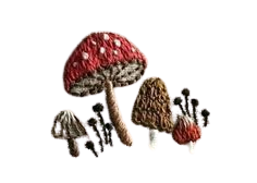 Mushroom Embroidery Pinterest