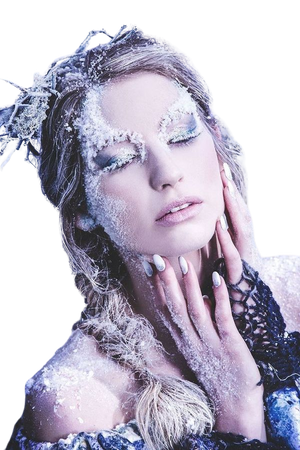 Winter Fairy Challange