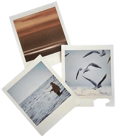 Beach Polaroids